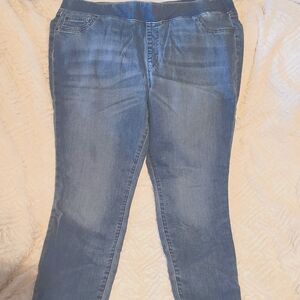 Women's Plus Size Light Blue Jeggings